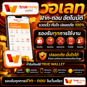วอเลท ระบบการเงินออนไลน์ยุคใหม่ ใช้งานง่าย ปลอดภัย อัปเดตปี 2026 💳